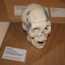 Neandertal21.3.180004